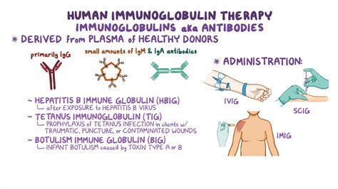 Immunoglobulins: Nursing pharmacology - Osmosis Video Library