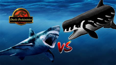 Megalodon VS Livyatan - Duelo Prehistórico - - YouTube