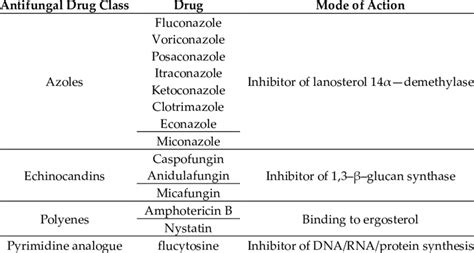 antifungal drugs classification