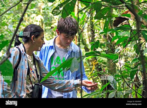 a tour guide explaining the jungle, Tambopata National Reserve, Amazon ...