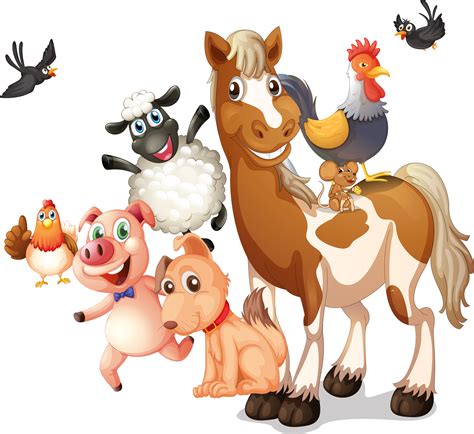 Farm Livestock Illustration - Vector cartoon animals png download ...