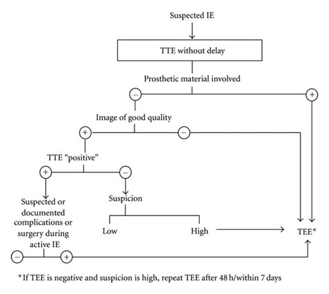 Algorithm for the use of transthoracic (TTE) and transesophageal ...