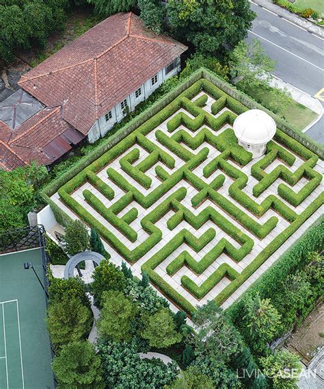 Amazing Maze Garden / Enjoy a Walk in the Garden Maze