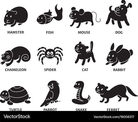 Pet shop set silhouette types of pets Royalty Free Vector