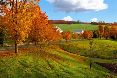 Vermont Fall Foliage Wallpapers - Top Free Vermont Fall Foliage ...