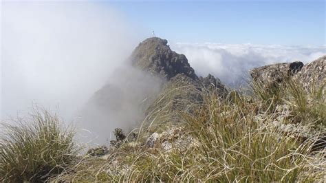 Mount Hikurangi - Te Ara ki Hikurangi: Gisborne area walks and tracks