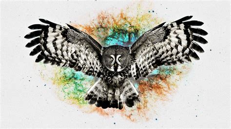 digital Art, Owl Wallpapers HD / Desktop and Mobile Backgrounds