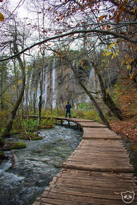 The Ultimate Hiking Guide for Plitvice Lakes National Park (with a ...