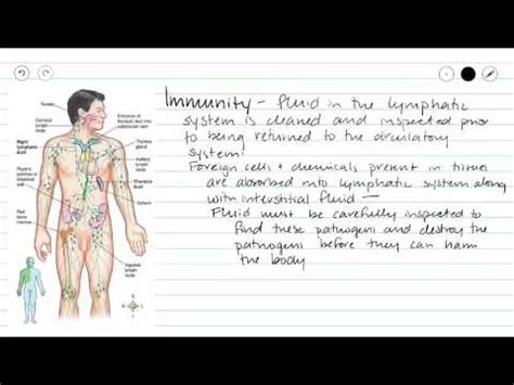 Major function of lymphatic system