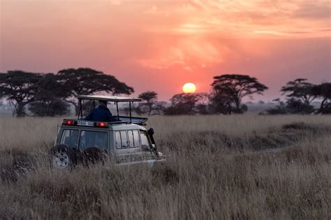 10 Reasons to go on a South African Safari - Secret Africa