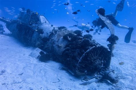 Oahu Diving: 12 Must-See Dive Sites