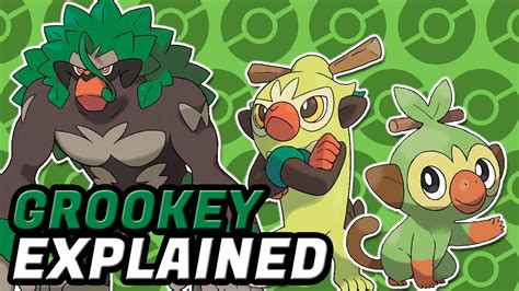 GROOKEY, POKEMON EXPLAINED! Grass Pokemon, Starter Pokemon, Pokemon ...