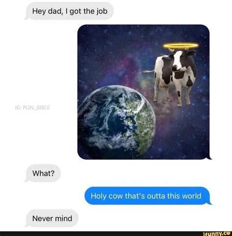 Holy Cow Meme - EngMeme