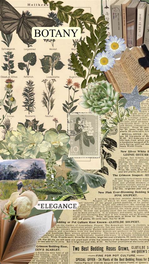 subject im studying soon! #botany #aesthetic #aesthetics #collage Maps ...