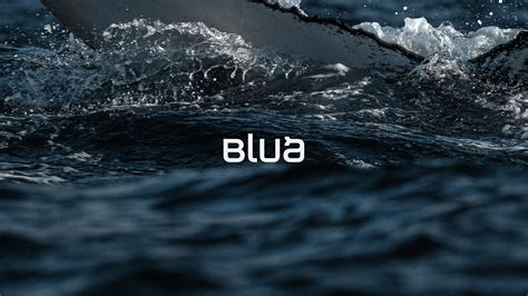 Blua Digital on Behance