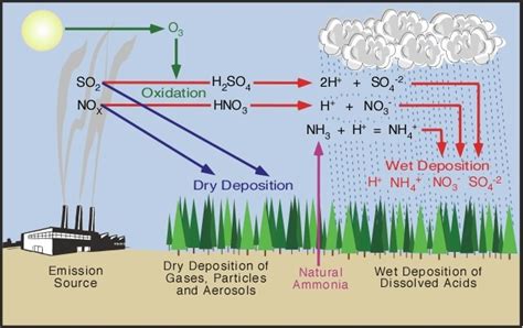 > What is Acid Rain and How is it Caused?