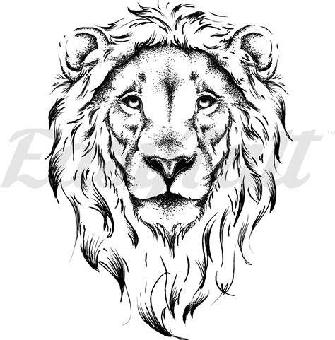 Lion Tattoo Clipart Png Image Black And White Lion Clipart Png | Images ...