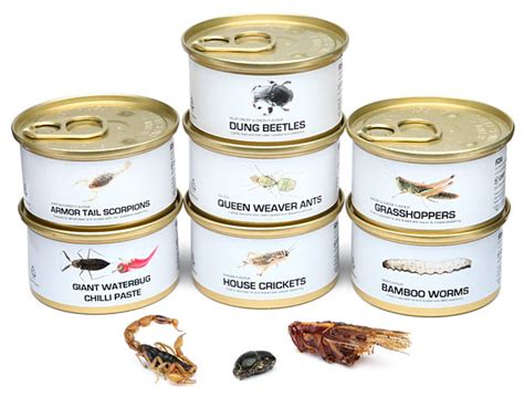 Edible Bugs Gift Pack, Seven Flavored Bug Snacks in Tins