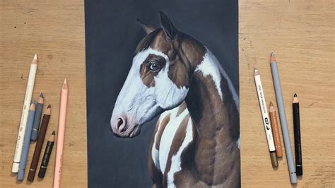 Colored Pencil Drawing of a Horse - YouTube