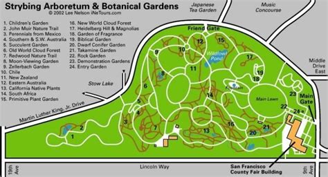 A Leisurely Stroll Through the SF Botanical Garden in Golden Gate Park ...