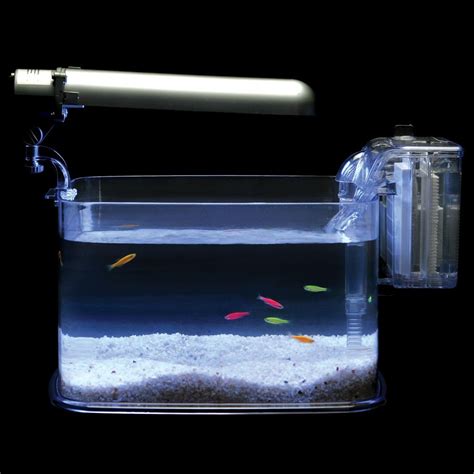 GloFish® Desktop Aquarium Package | Carolina.com