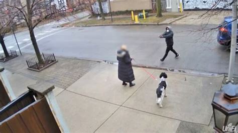 Brazen daylight robbery of elderly Chicago woman at gunpoint caught on ...