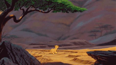 Timon Pumba GIFs - Get the best GIF on GIPHY