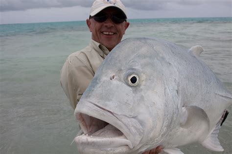 Giant Trevally: Species Spotlight | Big Game Fishing | Sportquest Holidays