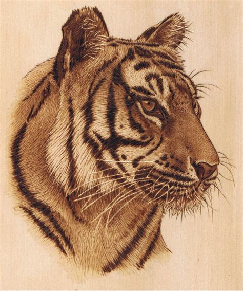 Sue Walters Tiger Lesson Kit - Pyrography (Woodburning) | Wood burning ...