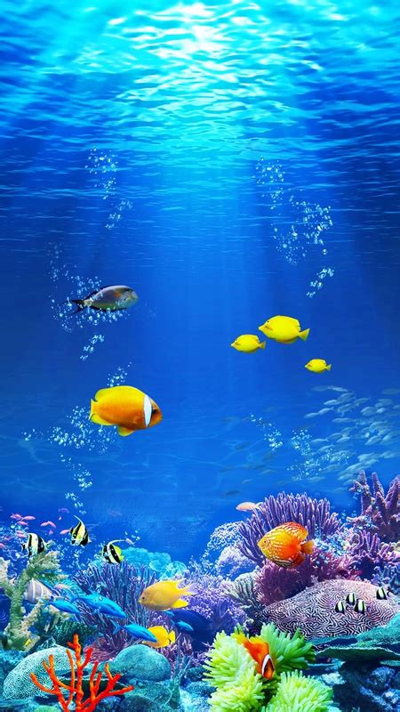 (WP)[GET] Under the sea - Apps on Galaxy Store in 2023 | Underwater ...