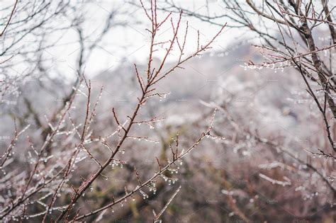 Freezing rain | Nature Stock Photos ~ Creative Market