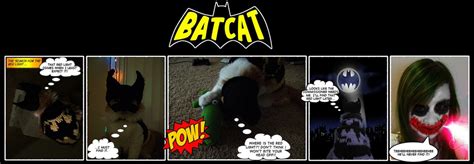 BatCat! — Lifted Geek