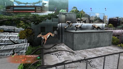 Tokyo Jungle is one of the hidden gems of PlayStation Plus - Polygon