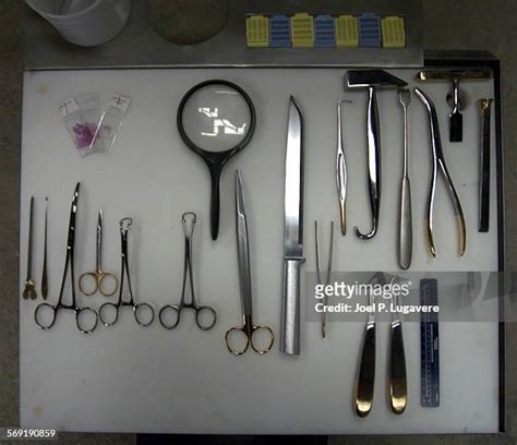 Autopsy Tools Photos and Premium High Res Pictures - Getty Images