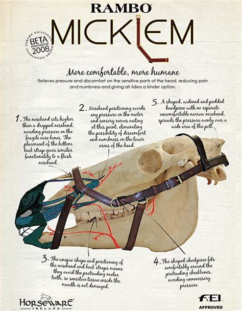 How to Fit the Rambo Micklem Bridle – The Cheshire Horse