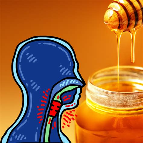 The Benefits Of Honey For Sore Throat Relief