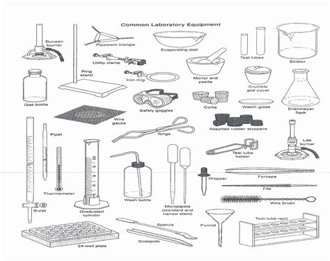 50 Chemistry Lab Equipment Worksheet