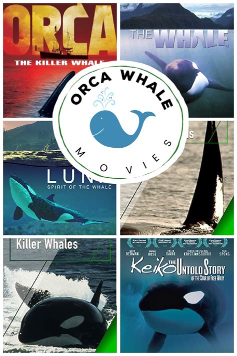 Orca Whale Movies for Kids of All Ages