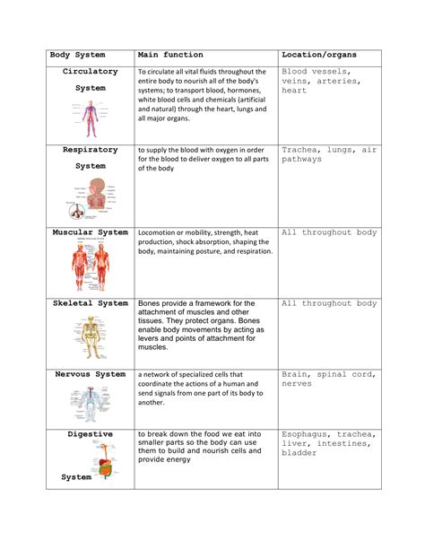 Body System Main function Location/organs Circulatory