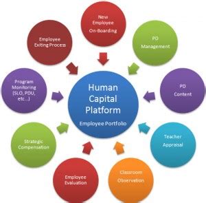 What Is Human Capital Management?