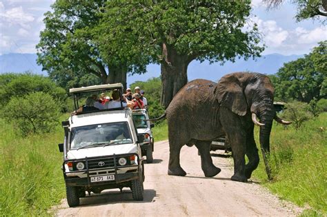 TANZANIA EXCLUSIVE TOURISM PHOTOS: GAME DRIVE IN THE TARANGIRE NATIONAL ...