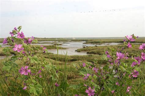 Cool Place of the Day: Norfolk Coast Path | The Independent | The ...