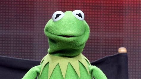 Why Kermit the Frog memes are so popular, according to science - BBC News