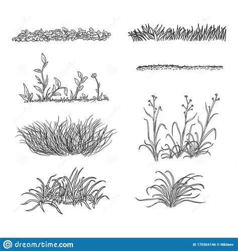 Vector Set of Sketch Grass Silhouettes Stock Vector - Illustration of ...