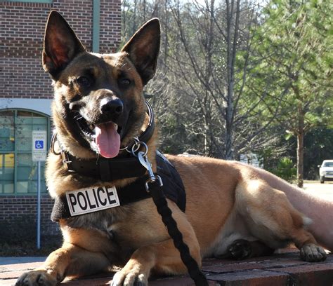 K-9 Unit | Southern Pines, NC - Official Website