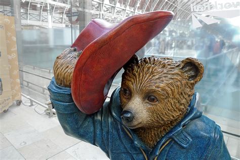 The Famous Paddington Bear: From Peru With Love - Enigma Blog