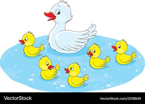 Cartoon Duck And Ducklings