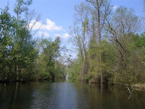 Great Dismal Swamp National Wildlife Refuge