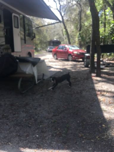 Lithia Springs Campground - Lithia, Florida US | ParkAdvisor