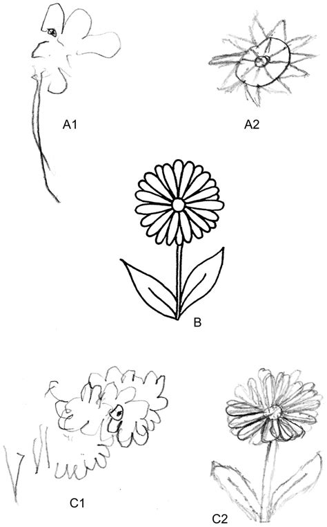 Patient's drawings in the context of drawings by a patient with ...